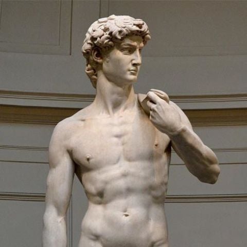 Michelangelo's David